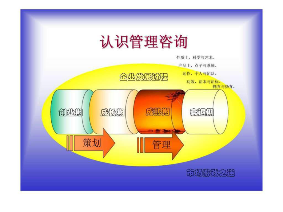 管理咨詢業(yè)分析 行業(yè)概述、趨勢(shì)與挑戰(zhàn)